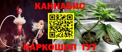 гашик Янаул
