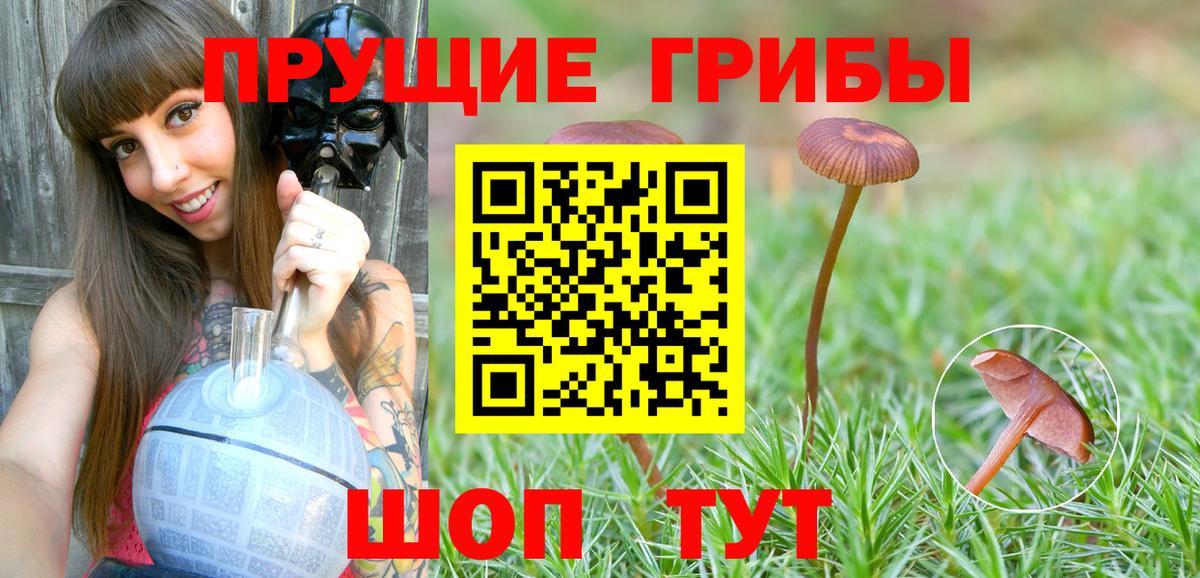 Аргун  Галлюциногенные грибы мухоморы  Вход с VPN 